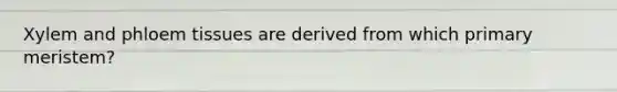 Xylem and phloem tissues are derived from which primary meristem?