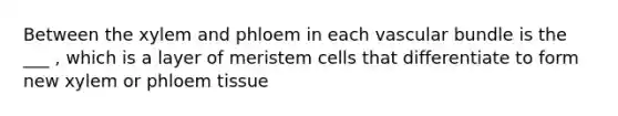 Between the xylem and phloem in each vascular bundle is the ___ , which is a layer of meristem cells that differentiate to form new xylem or phloem tissue