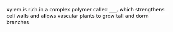 xylem is rich in a complex polymer called ___, which strengthens cell walls and allows vascular plants to grow tall and dorm branches