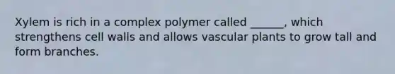 Xylem is rich in a complex polymer called ______, which strengthens cell walls and allows vascular plants to grow tall and form branches.