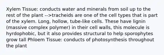 Xylem Tissue: conducts water and minerals from soil up to the rest of the plant -->tracheids are one of the cell types that is part of the xylem. Long, hollow, tube-like cells. These have lignin (massive complex polymer) in their cell walls, this molecule is hyrdophobic, but it also provides structural to help sporophytes grow tall Phloem Tissue: conducts of photosynthesis throughout the plant