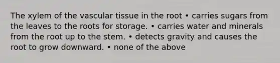 The xylem of the vascular tissue in the root • carries sugars from the leaves to the roots for storage. • carries water and minerals from the root up to the stem. • detects gravity and causes the root to grow downward. • none of the above