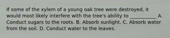 If some of the xylem of a young oak tree were destroyed, it would most likely interfere with the tree's ability to ___________ A. Conduct sugars to the roots. B. Absorb sunlight. C. Absorb water from the soil. D. Conduct water to the leaves.