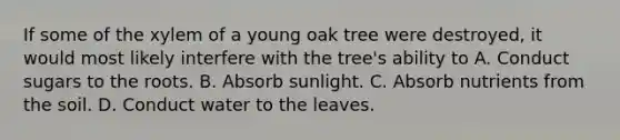 If some of the xylem of a young oak tree were destroyed, it would most likely interfere with the tree's ability to A. Conduct sugars to the roots. B. Absorb sunlight. C. Absorb nutrients from the soil. D. Conduct water to the leaves.