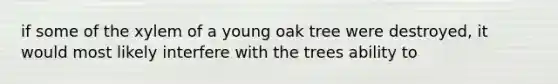 if some of the xylem of a young oak tree were destroyed, it would most likely interfere with the trees ability to