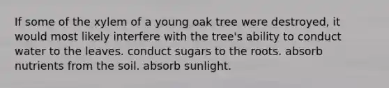 If some of the xylem of a young oak tree were destroyed, it would most likely interfere with the tree's ability to conduct water to the leaves. conduct sugars to the roots. absorb nutrients from the soil. absorb sunlight.