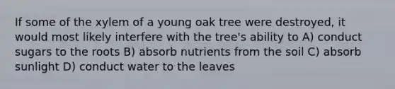 If some of the xylem of a young oak tree were destroyed, it would most likely interfere with the tree's ability to A) conduct sugars to the roots B) absorb nutrients from the soil C) absorb sunlight D) conduct water to the leaves