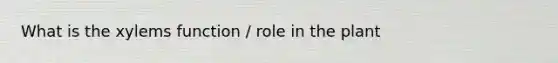 What is the xylems function / role in the plant