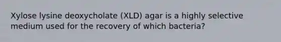 Xylose lysine deoxycholate (XLD) agar is a highly selective medium used for the recovery of which bacteria?