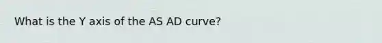 What is the Y axis of the AS AD curve?