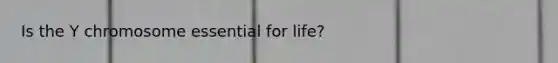 Is the Y chromosome essential for life?