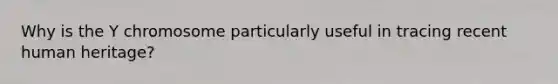 Why is the Y chromosome particularly useful in tracing recent human heritage?