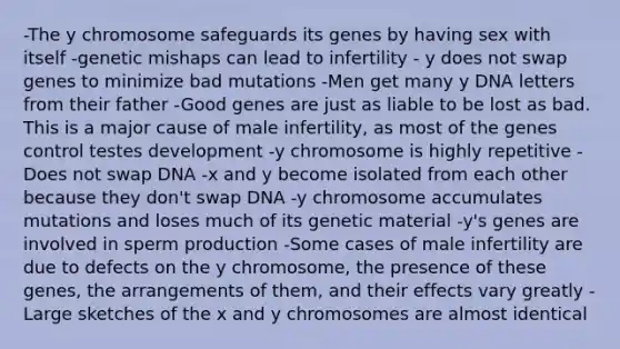 -The y chromosome safeguards its genes by having sex with itself -genetic mishaps can lead to infertility - y does not swap genes to minimize bad mutations -Men get many y DNA letters from their father -Good genes are just as liable to be lost as bad. This is a major cause of male infertility, as most of the genes control testes development -y chromosome is highly repetitive -Does not swap DNA -x and y become isolated from each other because they don't swap DNA -y chromosome accumulates mutations and loses much of its genetic material -y's genes are involved in sperm production -Some cases of male infertility are due to defects on the y chromosome, the presence of these genes, the arrangements of them, and their effects vary greatly -Large sketches of the x and y chromosomes are almost identical