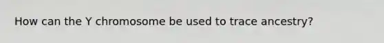 How can the Y chromosome be used to trace ancestry?