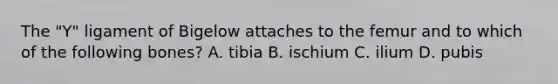 The "Y" ligament of Bigelow attaches to the femur and to which of the following bones? A. tibia B. ischium C. ilium D. pubis