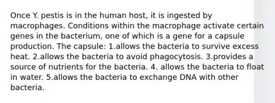 Once Y. pestis is in the human host, it is ingested by macrophages. Conditions within the macrophage activate certain genes in the bacterium, one of which is a gene for a capsule production. The capsule: 1.allows the bacteria to survive excess heat. 2.allows the bacteria to avoid phagocytosis. 3.provides a source of nutrients for the bacteria. 4. allows the bacteria to float in water. 5.allows the bacteria to exchange DNA with other bacteria.