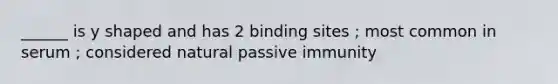 ______ is y shaped and has 2 binding sites ; most common in serum ; considered natural passive immunity