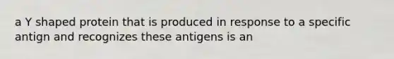 a Y shaped protein that is produced in response to a specific antign and recognizes these antigens is an