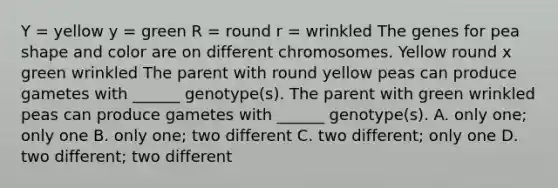 Y = yellow y = green R = round r = wrinkled The genes for pea shape and color are on different chromosomes. Yellow round x green wrinkled The parent with round yellow peas can produce gametes with ______ genotype(s). The parent with green wrinkled peas can produce gametes with ______ genotype(s). A. only one; only one B. only one; two different C. two different; only one D. two different; two different