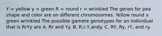 Y = yellow y = green R = round r = wrinkled The genes for pea shape and color are on different chromosomes. Yellow round x green wrinkled The possible gamete genotypes for an individual that is RrYy are A. Rr and Yy. B. R,r,Y,andy. C. RY, Ry, rY, and ry.