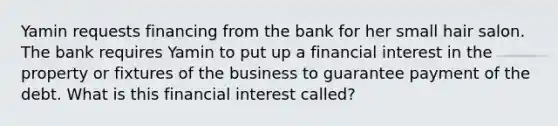 Yamin requests financing from the bank for her small hair salon. The bank requires Yamin to put up a financial interest in the property or fixtures of the business to guarantee payment of the debt. What is this financial interest called?