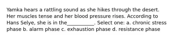 Yamka hears a rattling sound as she hikes through the desert. Her muscles tense and her blood pressure rises. According to Hans Selye, she is in the___________. Select one: a. chronic stress phase b. alarm phase c. exhaustion phase d. resistance phase