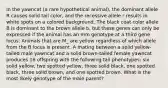 In the yawncat (a rare hypothetical animal), the dominant allele R causes solid tail color, and the recessive allele r results in white spots on a colored background. The black coat color allele B is dominant to the brown allele b, but these genes can only be expressed if the animal has an mm genotype at a third gene locus. Animals that are M_ are yellow regardless of which allele from the B locus is present. A mating between a solid yellow-tailed male yawncat and a solid brown-tailed female yawncat produces 16 offspring with the following tail phenotypes: six solid yellow, two spotted yellow, three solid black, one spotted black, three solid brown, and one spotted brown. What is the most likely genotype of the male parent?