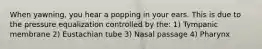 When yawning, you hear a popping in your ears. This is due to the pressure equalization controlled by the: 1) Tympanic membrane 2) Eustachian tube 3) Nasal passage 4) Pharynx