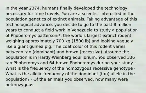 In the year 2374, humans finally developed the technology necessary for time travels. You are a scientist interested in the population genetics of extinct animals. Taking advantage of this technological advance, you decide to go to the past 8 million years to conduct a field work in Venezuela to study a population of Phoberomys pattersoni*, the world's largest extinct rodent weighing approximately 700 kg (1500 lb) and looking vaguely like a giant guinea pig. The coat color of this rodent varies between tan (dominant) and brown (recessive). Assume the population is in Hardy-Weinberg equilibrium. You observed 336 tan Phoberomys and 64 brown Phoberomys during your study. · What is the frequency of the homozygous recessive genotype · What is the allelic frequency of the dominant (tan) allele in the population? · Of the animals you observed, how many were heterozygous