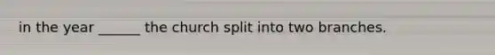 in the year ______ the church split into two branches.