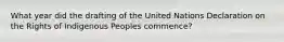 What year did the drafting of the United Nations Declaration on the Rights of Indigenous Peoples commence?