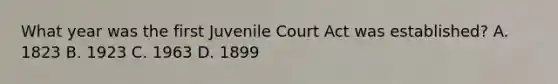 What year was the first Juvenile Court Act was established? A. 1823 B. 1923 C. 1963 D. 1899