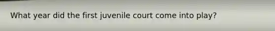 What year did the first juvenile court come into play?