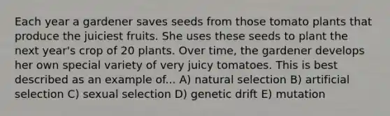 Each year a gardener saves seeds from those tomato plants that produce the juiciest fruits. She uses these seeds to plant the next year's crop of 20 plants. Over time, the gardener develops her own special variety of very juicy tomatoes. This is best described as an example of... A) natural selection B) artificial selection C) sexual selection D) genetic drift E) mutation