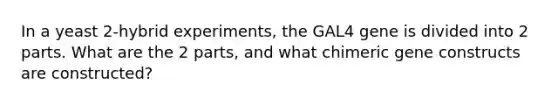 In a yeast 2-hybrid experiments, the GAL4 gene is divided into 2 parts. What are the 2 parts, and what chimeric gene constructs are constructed?