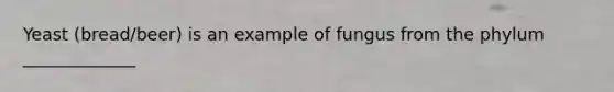 Yeast (bread/beer) is an example of fungus from the phylum _____________