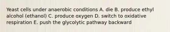 Yeast cells under anaerobic conditions A. die B. produce ethyl alcohol (ethanol) C. produce oxygen D. switch to oxidative respiration E. push the glycolytic pathway backward