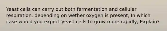 Yeast cells can carry out both fermentation and cellular respiration, depending on wether oxygen is present, In which case would you expect yeast cells to grow more rapidly, Explain?