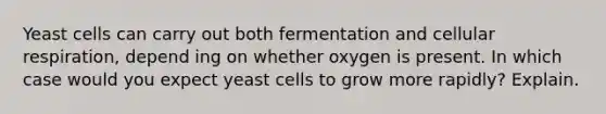 Yeast cells can carry out both fermentation and <a href='https://www.questionai.com/knowledge/k1IqNYBAJw-cellular-respiration' class='anchor-knowledge'>cellular respiration</a>, depend ing on whether oxygen is present. In which case would you expect yeast cells to grow more rapidly? Explain.