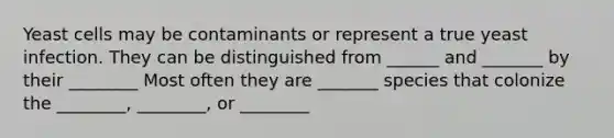 Yeast cells may be contaminants or represent a true yeast infection. They can be distinguished from ______ and _______ by their ________ Most often they are _______ species that colonize the ________, ________, or ________