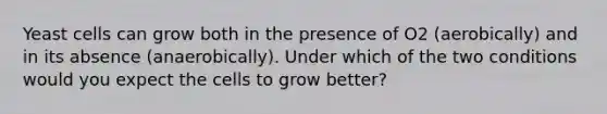 Yeast cells can grow both in the presence of O2 (aerobically) and in its absence (anaerobically). Under which of the two conditions would you expect the cells to grow better?