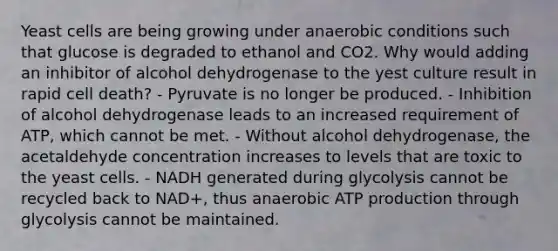 Yeast cells are being growing under anaerobic conditions such that glucose is degraded to ethanol and CO2. Why would adding an inhibitor of alcohol dehydrogenase to the yest culture result in rapid cell death? - Pyruvate is no longer be produced. - Inhibition of alcohol dehydrogenase leads to an increased requirement of ATP, which cannot be met. - Without alcohol dehydrogenase, the acetaldehyde concentration increases to levels that are toxic to the yeast cells. - NADH generated during glycolysis cannot be recycled back to NAD+, thus anaerobic ATP production through glycolysis cannot be maintained.