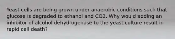 Yeast cells are being grown under anaerobic conditions such that glucose is degraded to ethanol and CO2. Why would adding an inhibitor of alcohol dehydrogenase to the yeast culture result in rapid cell death?