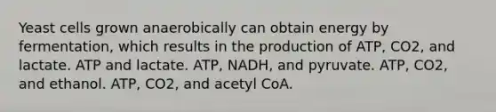 Yeast cells grown anaerobically can obtain energy by fermentation, which results in the production of ATP, CO2, and lactate. ATP and lactate. ATP, NADH, and pyruvate. ATP, CO2, and ethanol. ATP, CO2, and acetyl CoA.