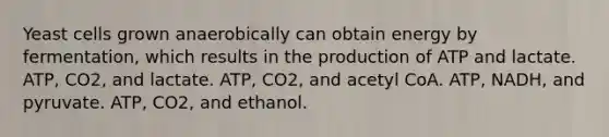 Yeast cells grown anaerobically can obtain energy by fermentation, which results in the production of ATP and lactate. ATP, CO2, and lactate. ATP, CO2, and acetyl CoA. ATP, NADH, and pyruvate. ATP, CO2, and ethanol.