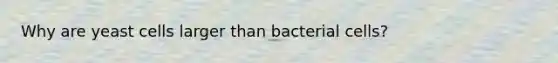 Why are yeast cells larger than bacterial cells?