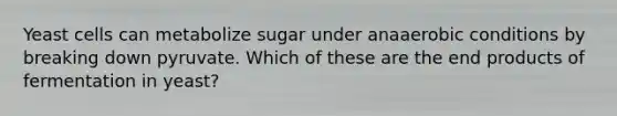 Yeast cells can metabolize sugar under anaaerobic conditions by breaking down pyruvate. Which of these are the end products of fermentation in yeast?