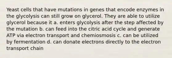 Yeast cells that have mutations in genes that encode enzymes in the glycolysis can still grow on glycerol. They are able to utilize glycerol because it a. enters glycolysis after the step affected by the mutation b. can feed into the citric acid cycle and generate ATP via electron transport and chemiosmosis c. can be utilized by fermentation d. can donate electrons directly to the electron transport chain