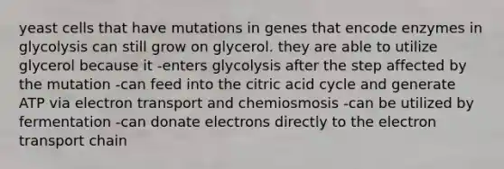 yeast cells that have mutations in genes that encode enzymes in glycolysis can still grow on glycerol. they are able to utilize glycerol because it -enters glycolysis after the step affected by the mutation -can feed into the citric acid cycle and generate ATP via electron transport and chemiosmosis -can be utilized by fermentation -can donate electrons directly to the electron transport chain