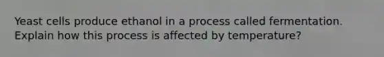 Yeast cells produce ethanol in a process called fermentation. Explain how this process is affected by temperature?